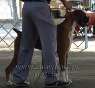 Clique sobre a foto para fechar